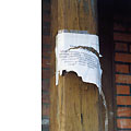 2002w-31.jpg