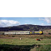 2002x-03a.jpg