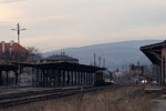 DSCF6318.jpg