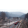 DSCF6595.jpg