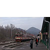 DSCF6612.jpg