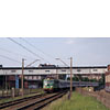 DSCF6988.jpg