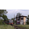 DSCF6991.jpg