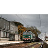 DSCF7717.jpg