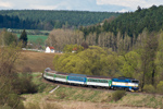 IMGP0121-1.jpg