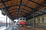 IMGP0203.jpg