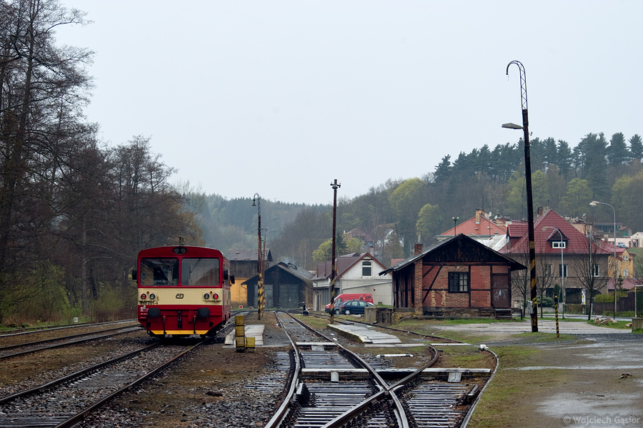 IMGP0206.jpg