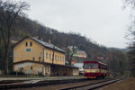 IMGP0209.jpg