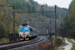 IMGP0256.jpg