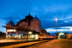 IMGP0304.jpg