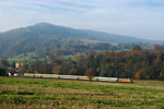 IMGP0331.jpg