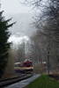 IMGP0371.jpg