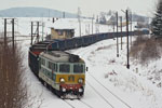 IMGP0431.jpg