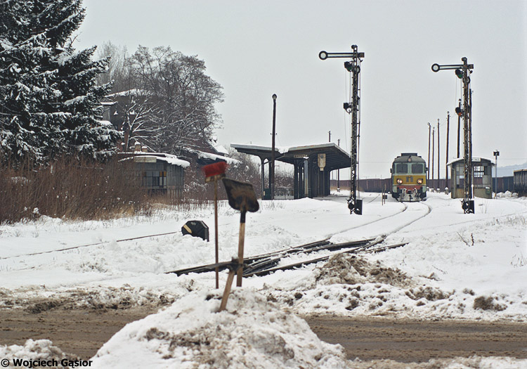 IMGP0469.jpg