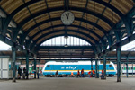 IMGP0491-1.jpg