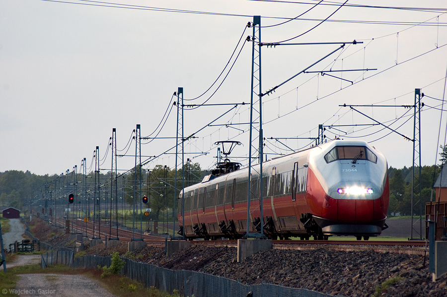 IMGP0747.jpg
