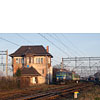 IMGP0779.jpg