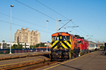 IMGP3362.jpg