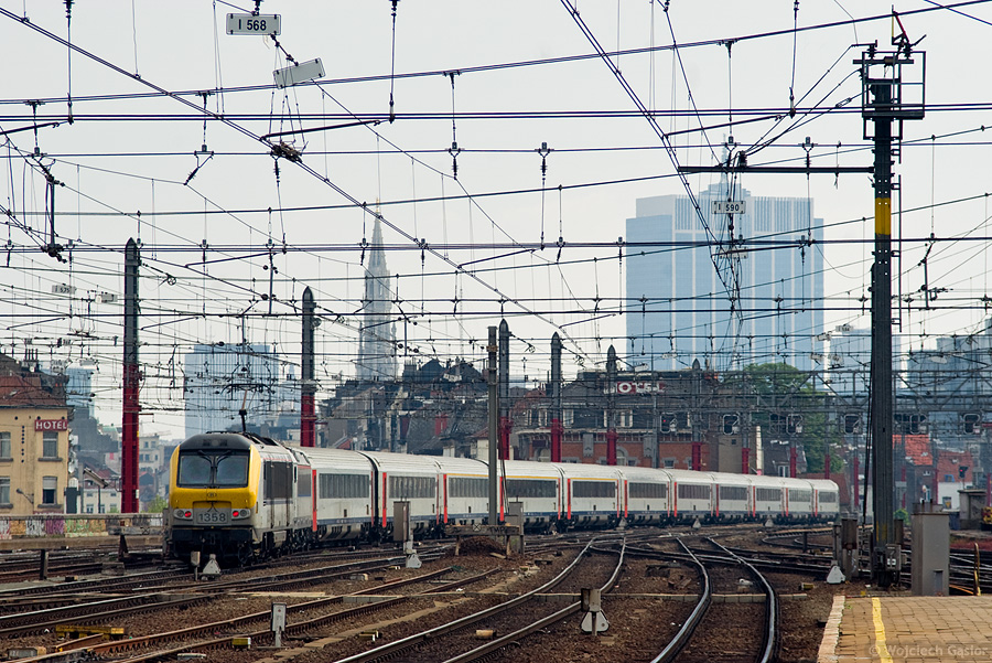 IMGP3370.jpg