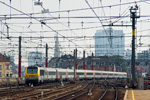 IMGP3370.jpg
