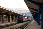 IMGP3599.jpg