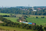 IMGP3926-1.jpg