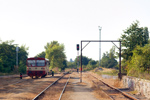 IMGP3941-1.jpg
