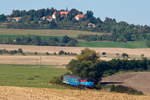IMGP4084.jpg