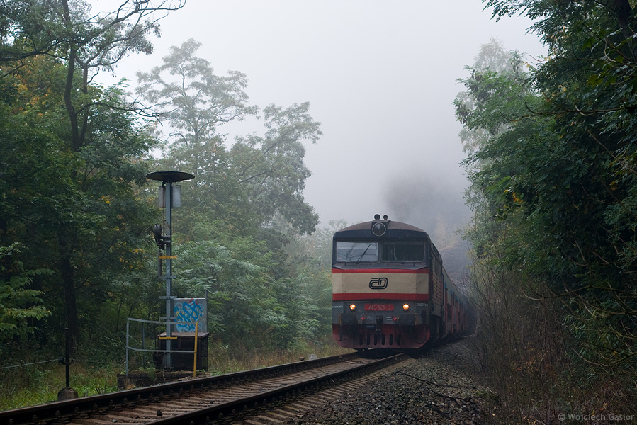 IMGP4291.jpg