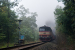 IMGP4291.jpg