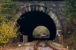 IMGP4704.jpg