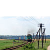 IMGP4772.jpg