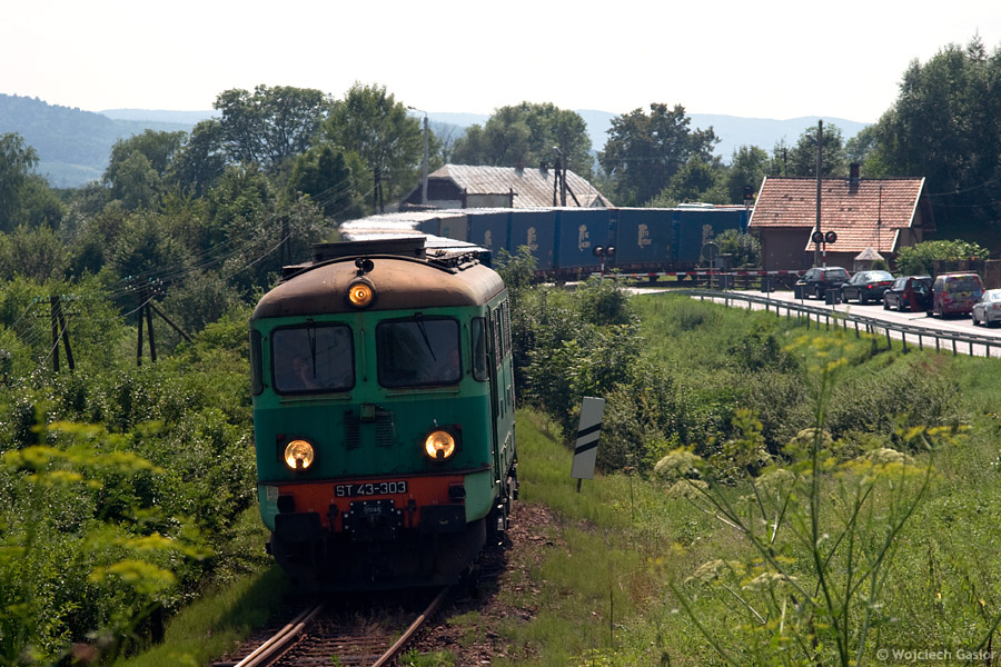 IMGP4781.jpg