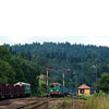 IMGP4803.jpg