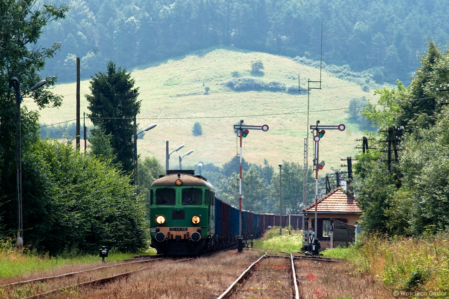 IMGP4880.jpg