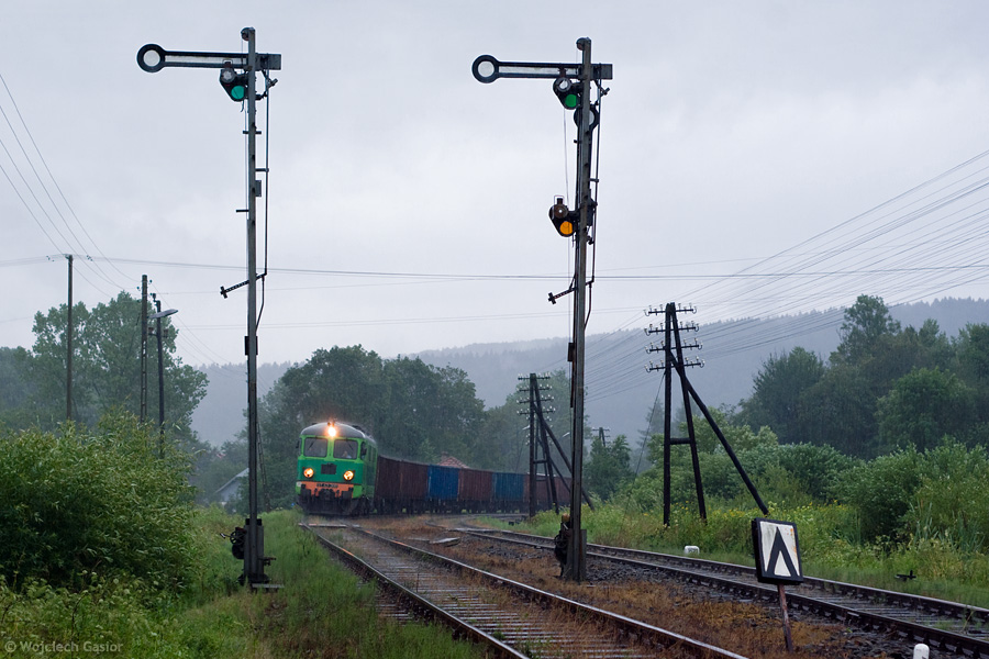 IMGP4917.jpg