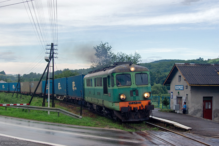 IMGP4943.jpg