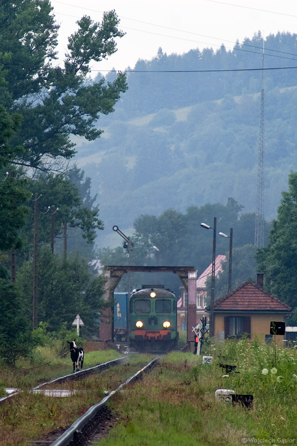 IMGP4945.jpg