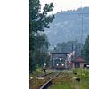 IMGP4945.jpg