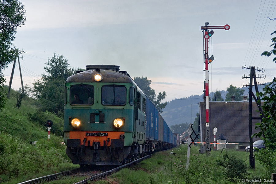 IMGP4948.jpg