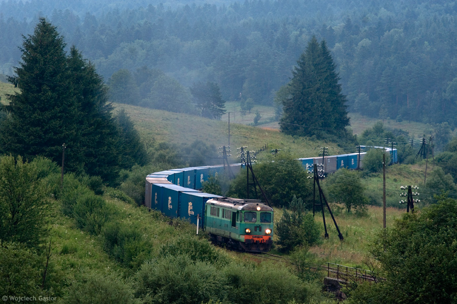 IMGP4957.jpg