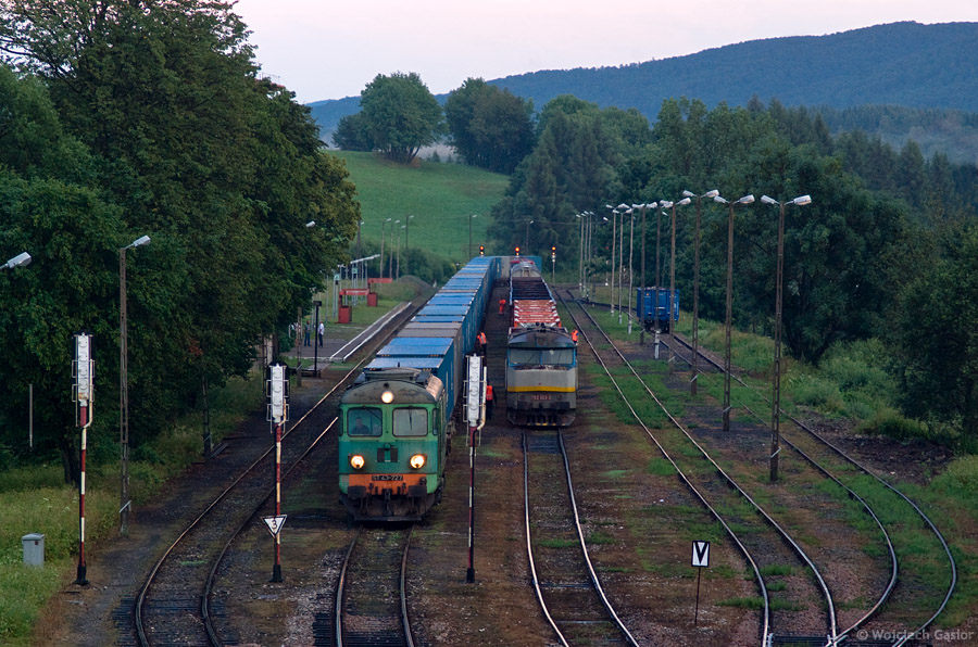 IMGP4962.jpg