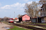 IMGP5288.jpg