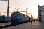 IMGP5375.jpg