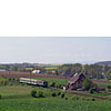 IMGP5585.jpg