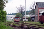 IMGP5694.jpg