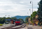 IMGP6277.jpg