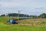 IMGP6435.jpg