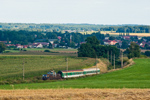 IMGP6452.jpg