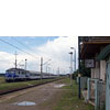 IMGP6588.jpg
